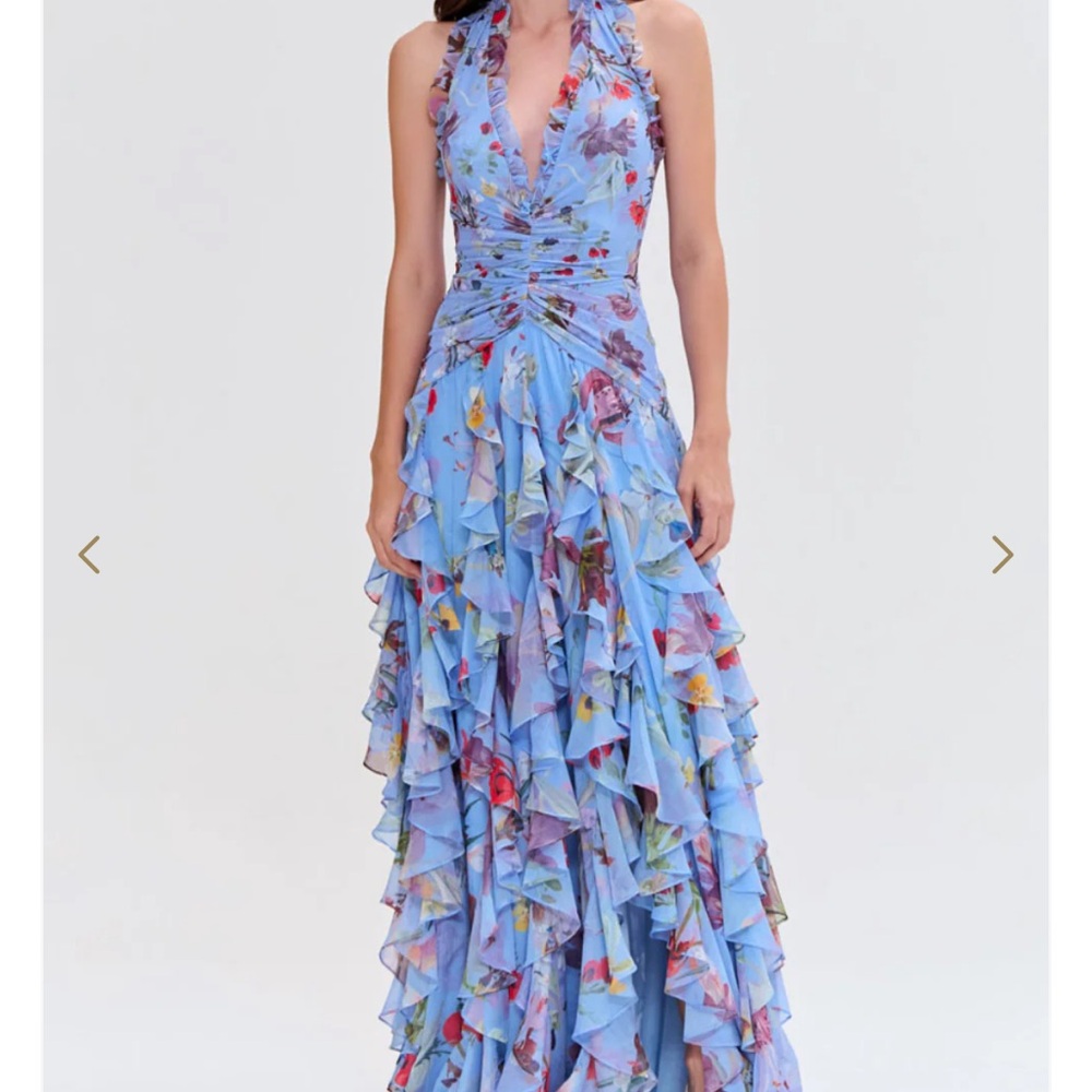 PatBO Lily Flower Flutter Gown